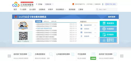 江蘇政務服務網購買藥品登記與因私出入境中介服務指南